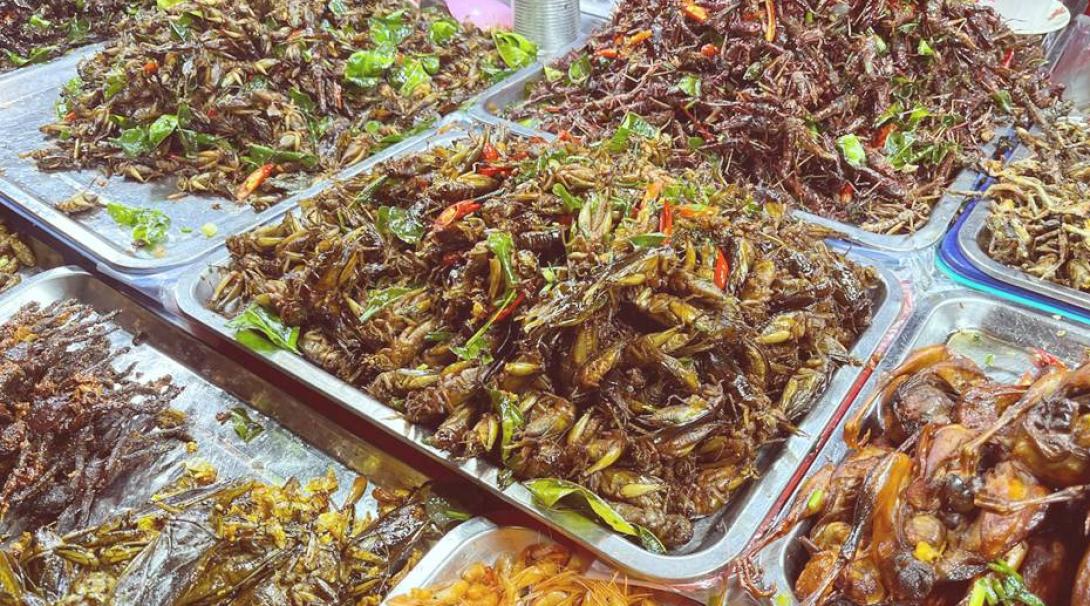 カンボジアのおすすめ料理・昆虫食